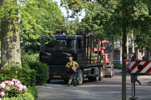 rooien van bomen in boxtel met de vrachtwagen afvoeren van stammen van een suikeresdoorn